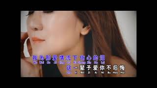 为爱流下伤心泪 - Wei Ai Liu Xia Shang Xin Lei KARAOKE R/L FEMALE