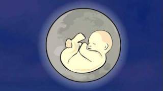 Hijo de la Luna /  The Son of the Moon (Animation)
