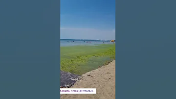 #ШОК #АНАПА ПРОВАЛИЛСЯ ПИРС!!! #ВОДОРОСЛИ АТАКУЮТ!!! Видео от @anapaone