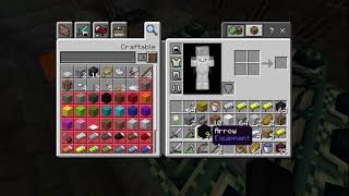 Minecraft Speedrun Attempt #11