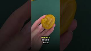 ЧИСТАЯ ОТЛИВКА - светлое поле без искажений #отливкавоском #shorts