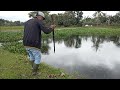 THERE'S A LOT OF FISHING!! THE RAIN IS COMING #fishing