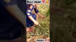 Ara Teri Sasu Jangal M Pacheya aslam india shorts indian blackpink shorts