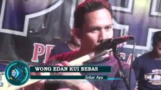 Download lagu WONG EDAN KUI BEBAS SEKAR AYU IP3T 2018 PLANET TOP DANGDUT WONG EDAN KUI BEBAS SEKAR AYU IP3T 2018 PLANET TOP DANGDUT