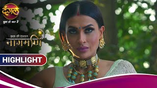 Ishq Ki Dastaan Naagmani | इश्क़ की दास्तान नागमणि | क्या पारो को मार देंगी मोहिनी | Highlights