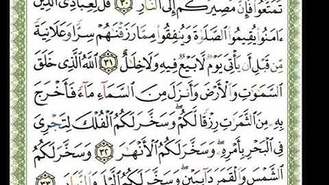 014   سورة إبراهيم   شيرزاد عبد الرحمن طاهر