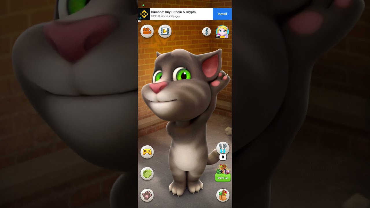 talking tom 