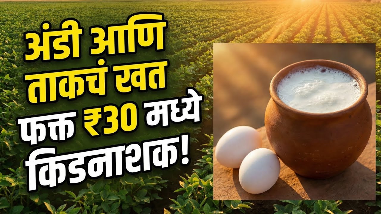 अंडी आणि ताकचं खत कसं बनवायचं? 😱 | नैसर्गिक किडनाशक शेतीसाठी | प्रति एकर ₹1500 ची बचत, tak ani andi