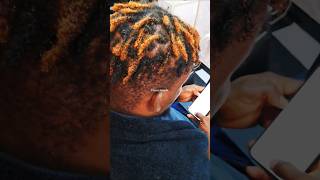 2026 Best Dreadlocks Salon | Best Dreadlocks Salon Accra Ghana | Starter Locs