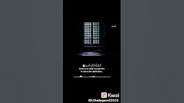 غافر الذنب وقابل التوب شديد العقاب❤ايات جميله جدا من سوره غافر بصوت الشيخ محمود الشحات انور