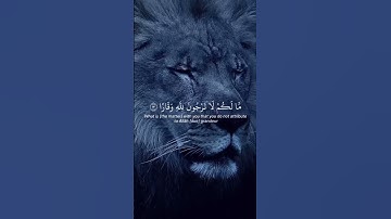 #قران_كريم_راحه_نفسيه #قران_كريم #اكسبلور #قران_يريح_القلب #تلاوة_خاشعة #تلاوة_هادئة #baby