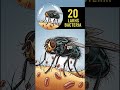 20 Lakhs Bacteria 😱 One Fly on Your Food