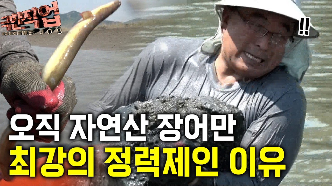 "이것이 힘" 1톤의 돌을 모아 극한으로 잡아 올리는 자연산 장어 그 진짜 에너지｜극한직업