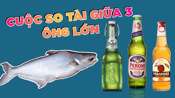 Câu Cá Bằng Chai Bia Sướng Như Thế Nào | Chung Nguyễn Fishing