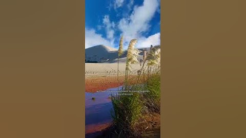 ولا تتبع الهوى فيضلك عن سبيل الله القارئ سعود الشريم