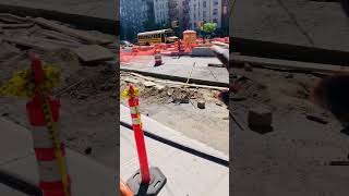 IMG 8391