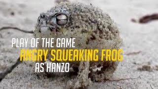 Angry Squeaking Hanzo Potg