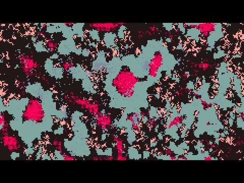 Microcosm Simulation