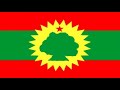 Sirboota Hawwisoo WBO Warra Dhiigaf Lafee Ilmaan Oromoo Keessatti Biqilan Sirboota Hawwisoo WBO Warra Dhiigaf Lafee Ilmaan Oromoo Keessatti Biqilan