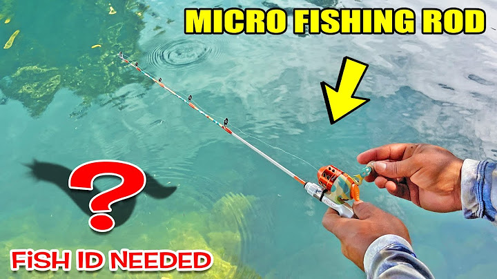 Tiny Fishing Rod Catches WEIRD FISH!  ID Needed | Monster Mike Fishing
