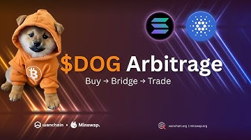 How to Bridge $DOG from Solana to Cardano | Wanchain Tutorial 🐶