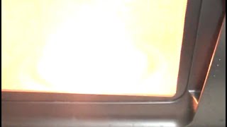 Nuclear Explosion-Like Sphere of Plasma (Ball Lightning) Created in Microwave