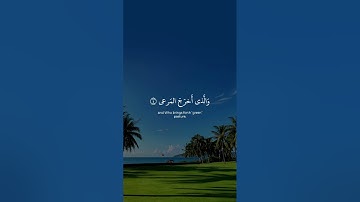 سبح اسم ربك الأعلى || سورة الأعلى || القارئ: ياسر الدوسري