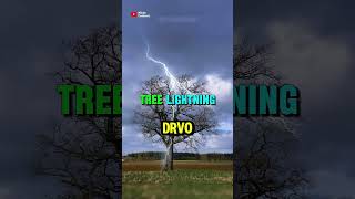 5 Jezivih Udara Groma Snimljenih Kamerom