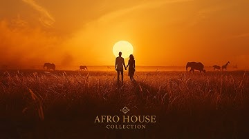 Groovy 90 Afro Tech Hits 🌍🎶 | Inspired by Caiiro, Djeff