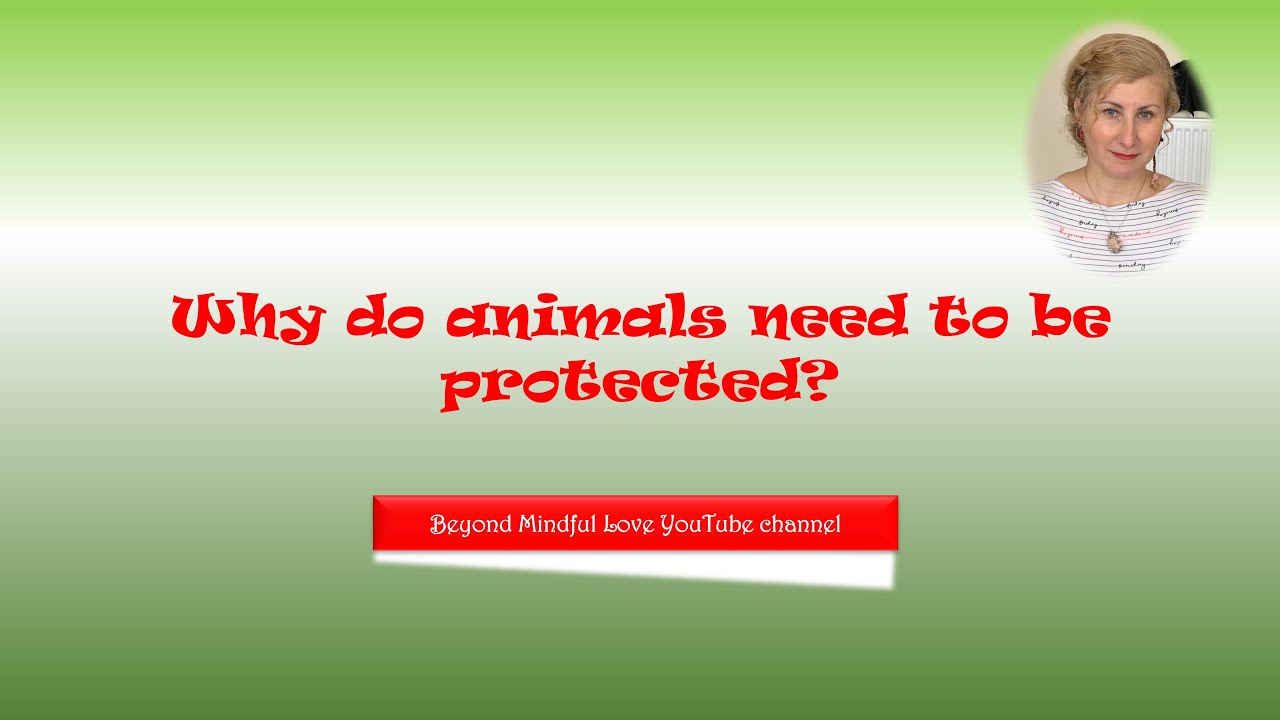 Reasons Why Animals Should Be Used For Medical Research Reasons Why Animals Should Be Used For Medical Research