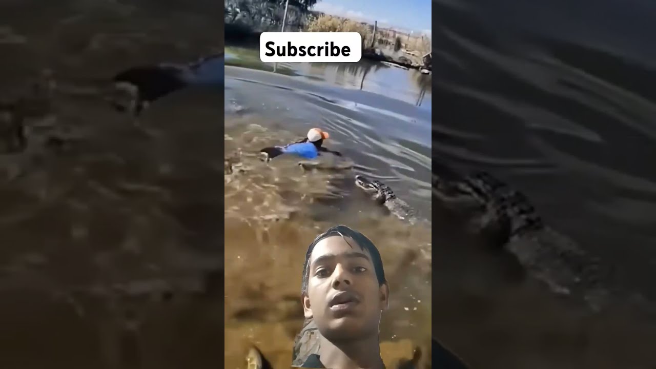 Florida Lady Jumps Into Alligator Infested Pond