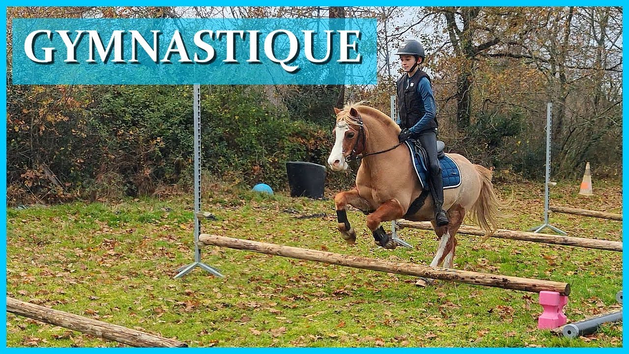 ON BOSSE LES ABDOS POUR POUR LE JUMPING ! - Baly et Ace au boulot