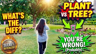 Tree vs Plant Explained | Trunk, Aerial Roots, Hanging Roots &amp; More | English with Akriti
