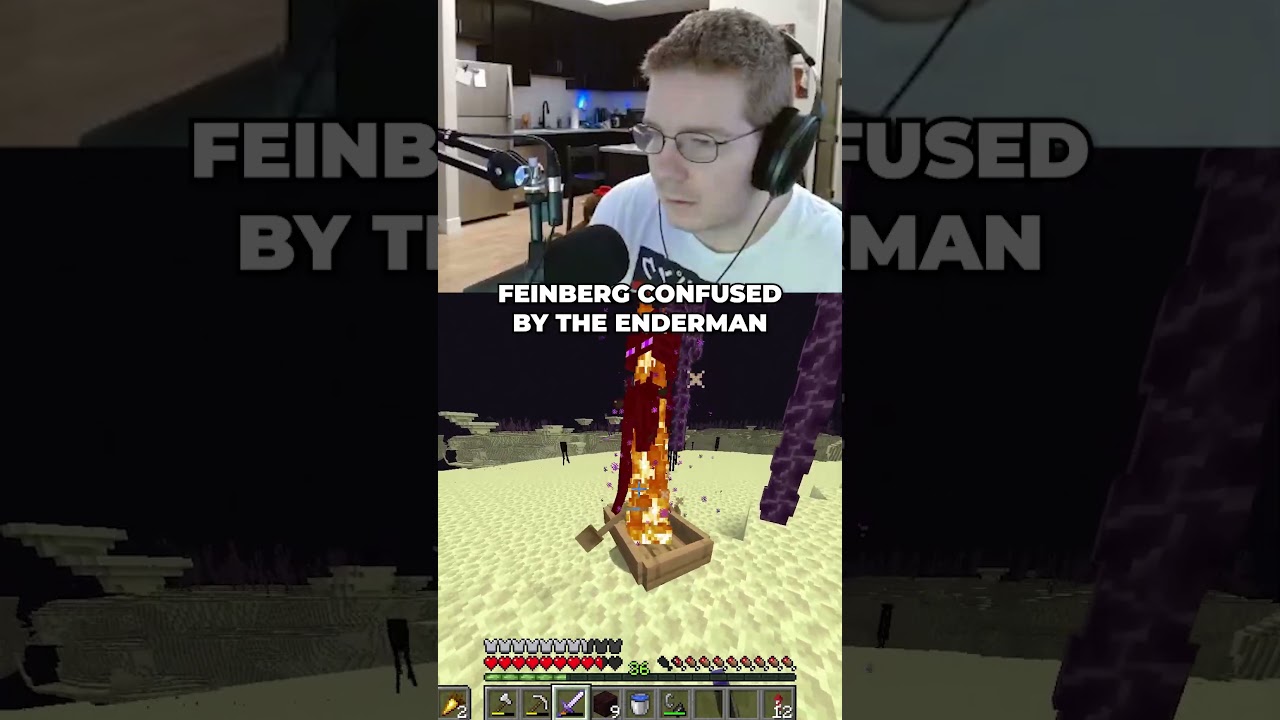Feinberg CONFUSED By The Enderman