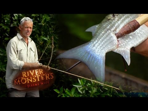 Pro Jeremy Wade Son Vault - 09yxbqc