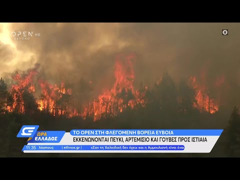 Αποκαρδιωτικές εικόνες από τη φωτιά στη βόρεια Εύβοια | Ώρα Ελλάδος 08/08/2021 | OPEN TV