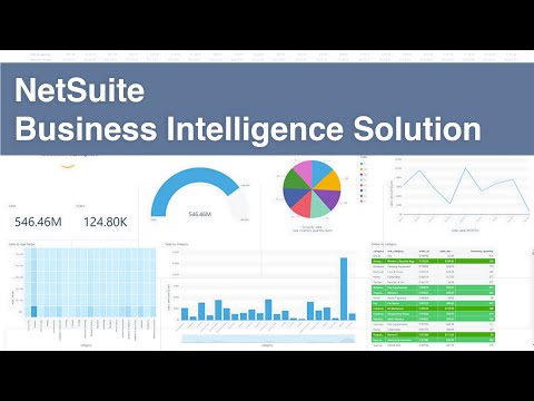 NetSuite Business Intelligence Solution by LevinsonTech
