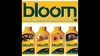 Bloom Yellow Bottle Nutrients are HERE!!