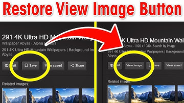 How to Restore View Image Button in Google Image Search!