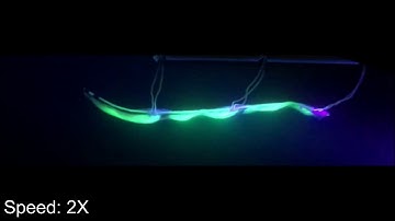 Translucent Soft Robots Driven by Frameless Fluid Electrode Dielectric Elastomer Actuators