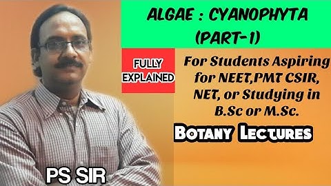 Algae: Cyanophyta (Part-1) | NEET ,PMT ,CSIR ,NET ,B.Sc ,M.Sc | PS Sir | Botany
