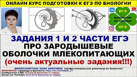 ОЧЕНЬ АКТУАЛЬНЫЕ  ЗАДАНИЯ ПРО ЗАРОДЫШЕВЫЕ ОБОЛОЧКИ ИЗ 1 И 2 ЧАСТИ ЕГЭ