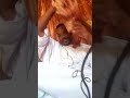 مافاضي لي لفت ود الاشبه
