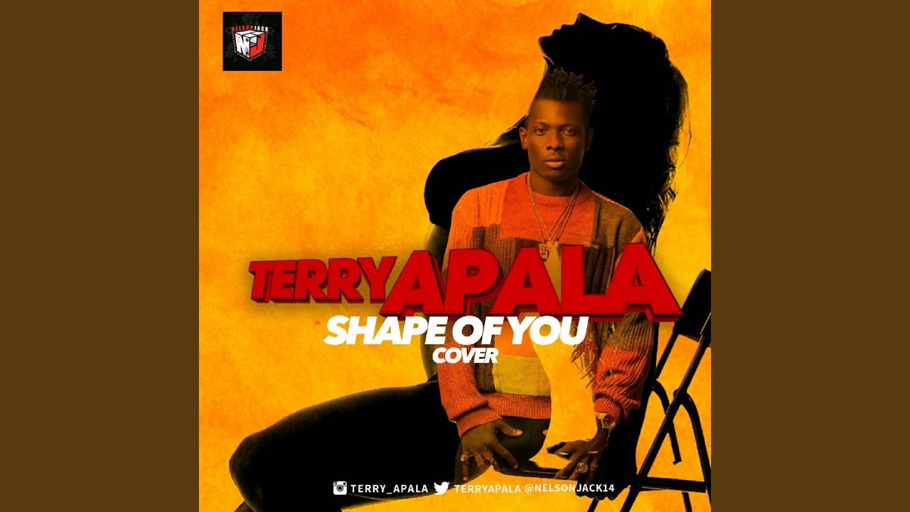 Shape of You (Cover) - YouTube