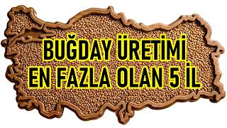 Türkiyede, Buğday Üretimi En Fazla Olan 5 İl Buğday Üretiminde Lider Şehirler 2026