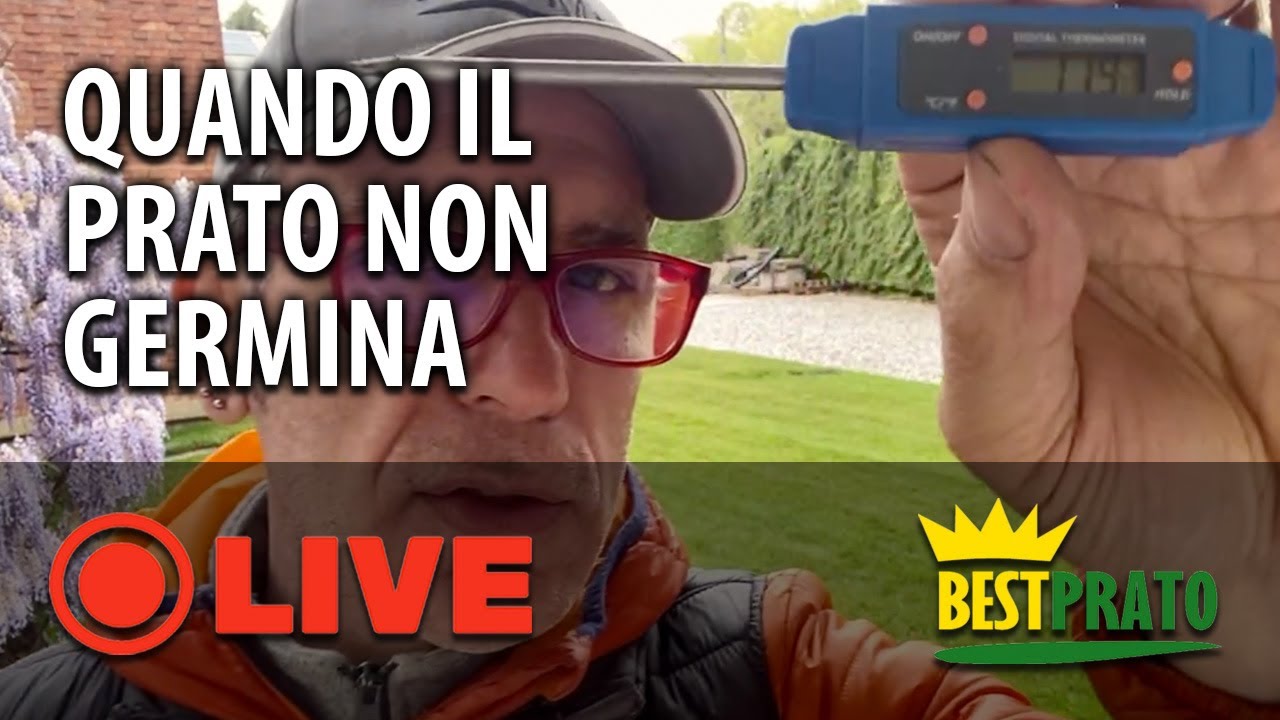 COSA FARE QUANDO IL PRATO NON GERMINA?
