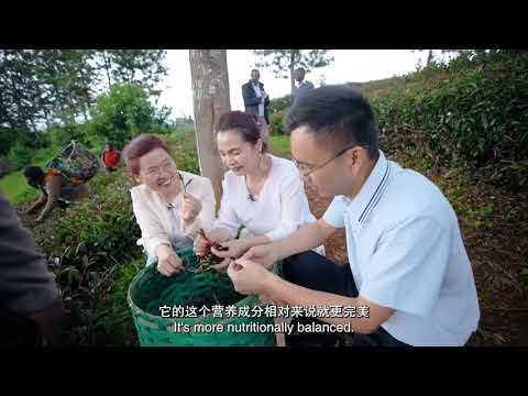 China -Africa Reality Show Series Episode 9