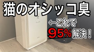 【猫トイレ】おしっこ臭を解決してくれるのはこの脱臭機【プラズィオン】