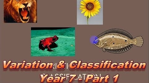 BIOLOGY Year 7 - Variation & Classification (Part 1)