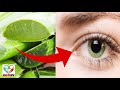 आँखों की रौशनी इतनी बढ़ाये, पुराने से पुराना चश्मा भी उतर जाए | Improve Your Eyesight Without